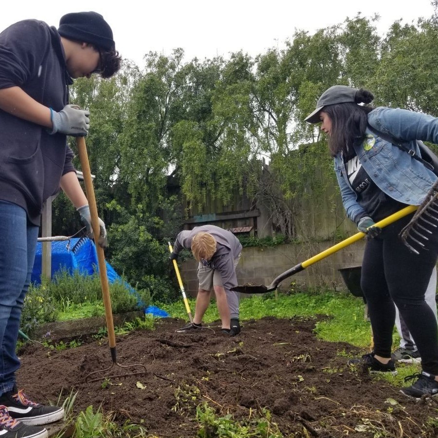 Environmental Studies students work in a school garden